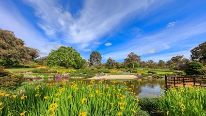 Japanese Garden - Cowra 